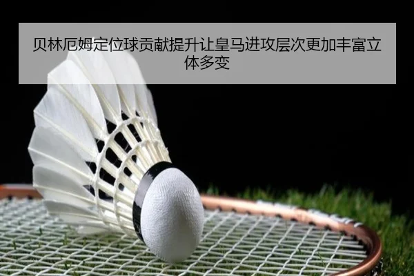 img_1785137433140_457_0_815.jpg